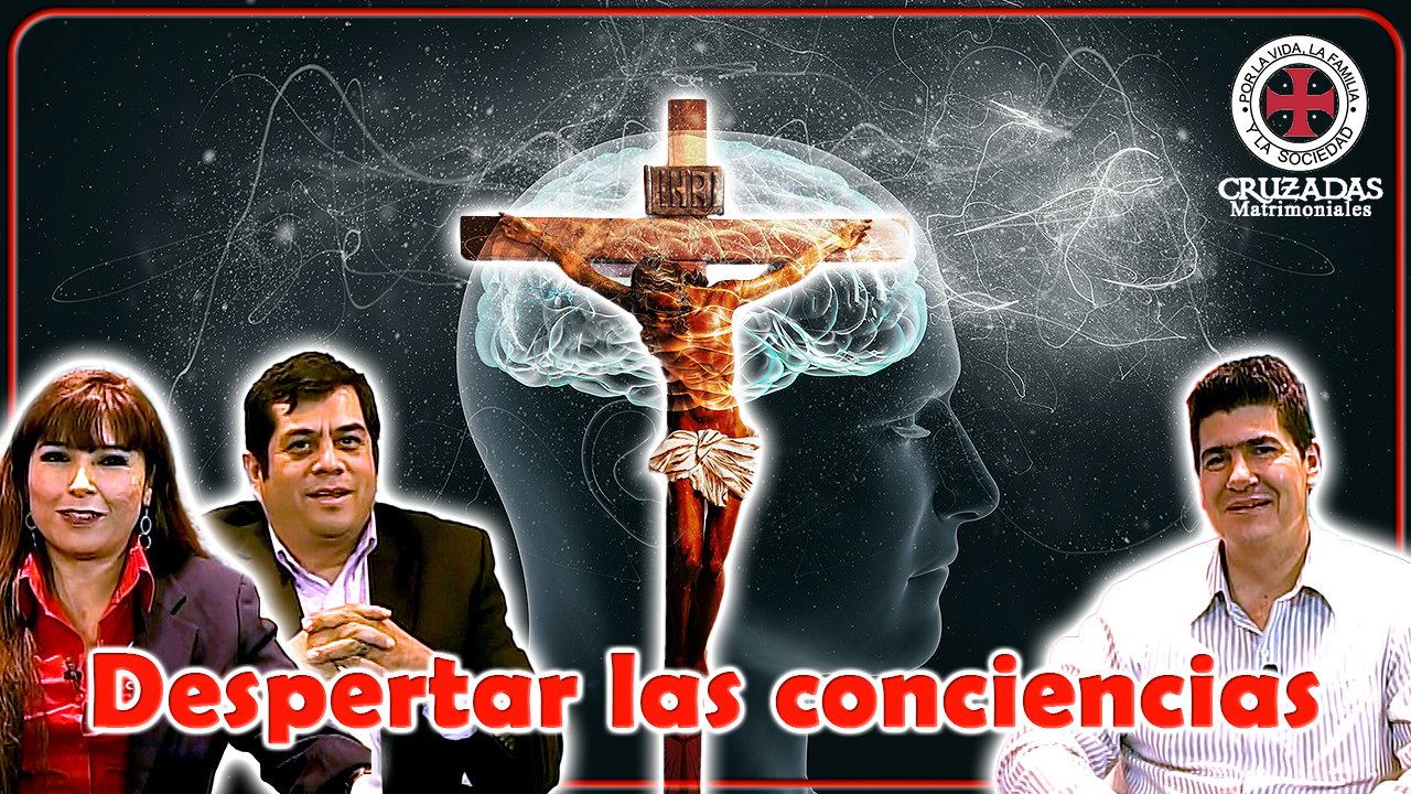 Despertar las conciencias