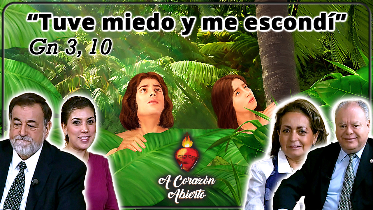 Tuve miedo y me escondí