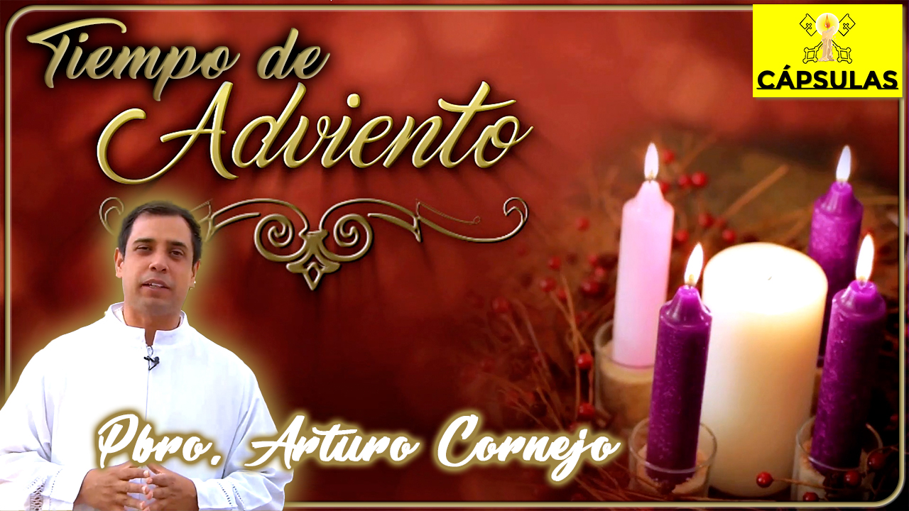 Padre Arturo Cornejo archivos - Luz Católica