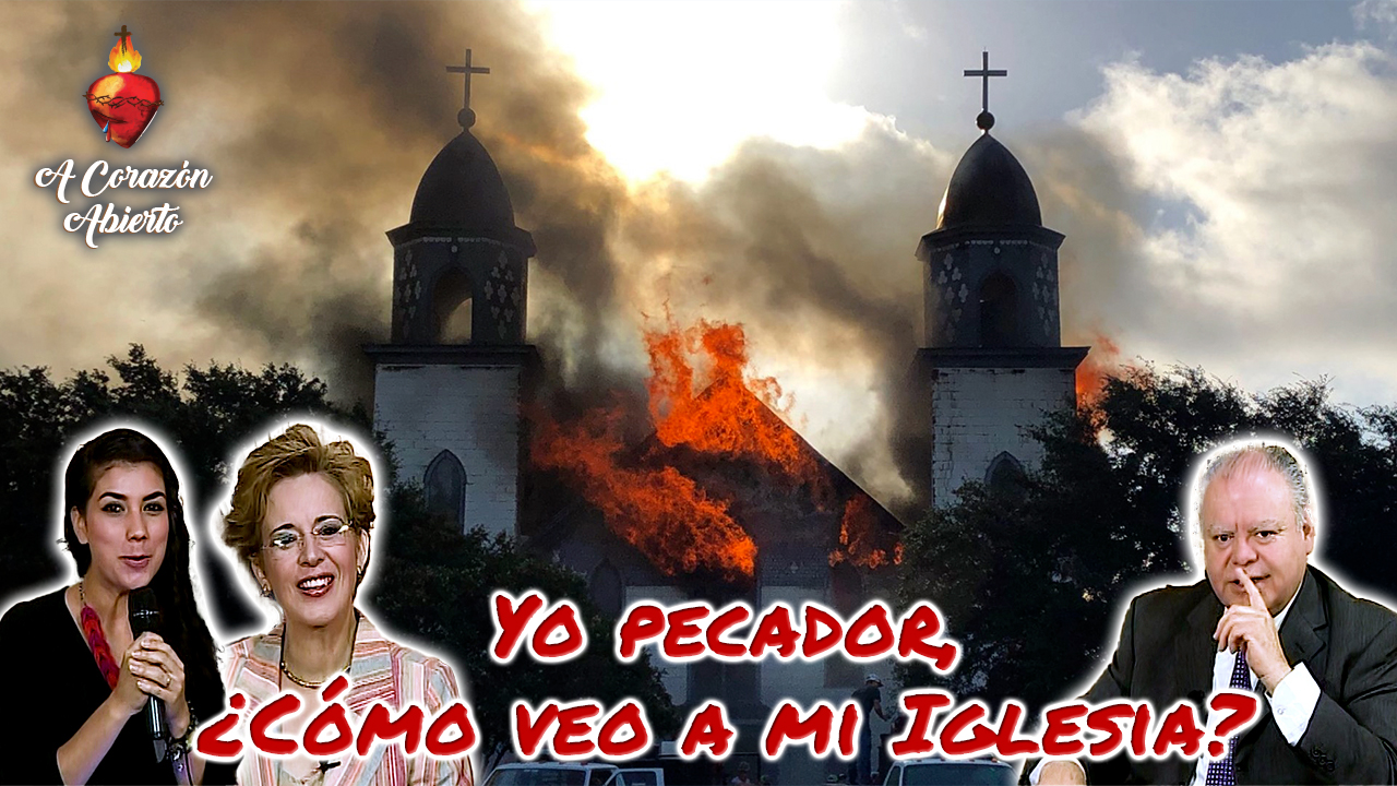 Yo pecador cómo veo a mi Iglesia