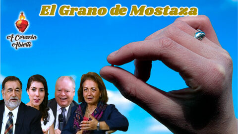 El Grano de Mostaza