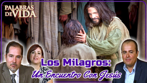 Los milagros un encuentro con Jesús