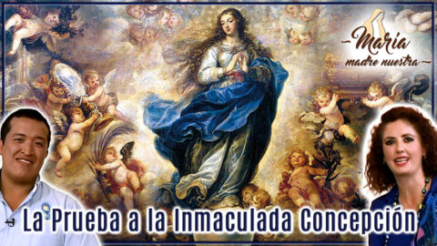 La prueba a la Inmaculada Concepción
