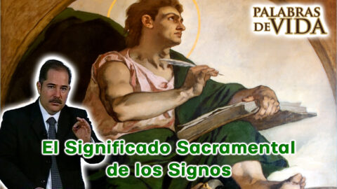El significado sacramental de los signos