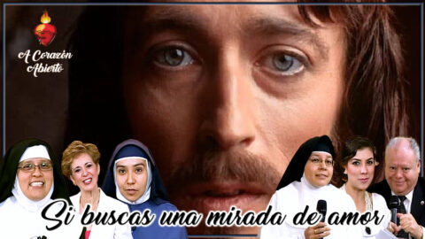 Si buscas una mirada de amor