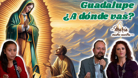 Guadalupe ¿a dónde vas?