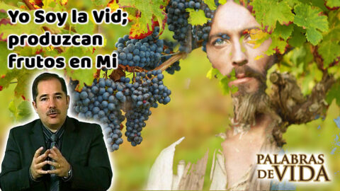 Yo soy la vid produzcan frutos en mi
