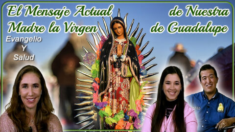 El mensaje actual de la Virgen de Guadalupe