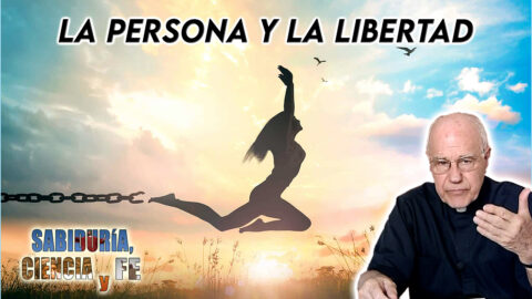La persona y la libertad