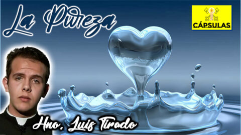 La Pureza Luis Tirado