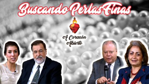 Buscando perlas finas