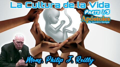 Cultura de la vida Parte 1