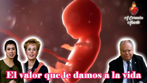 El valor que le damos a la vida