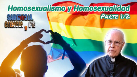 Homosexualismo y Homosexualidad Parte 1