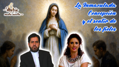 La Inmaculada Concepción y el sentir de los fieles