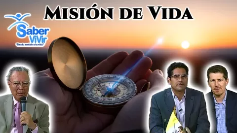 Misión de Vida