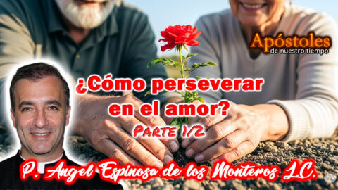 ¿Cómo perseverar en el amor? Parte 1