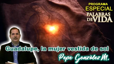 Guadalupe la mujer vestida de sol